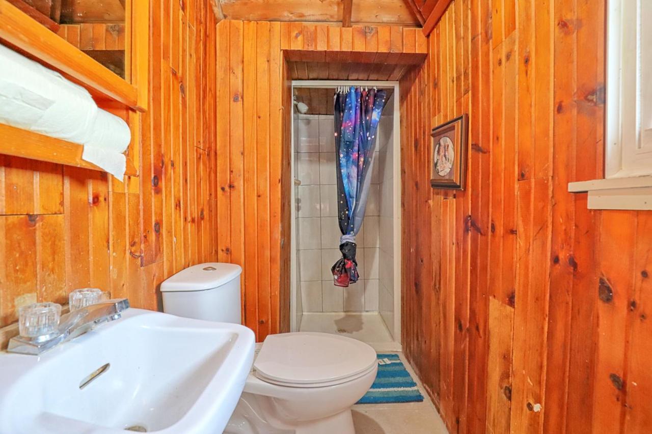 Fun Place With A Sandy Beach For Swimming, Boating, And Fishing, Featuring 3 Available Cabins Fenelon Falls Kültér fotó