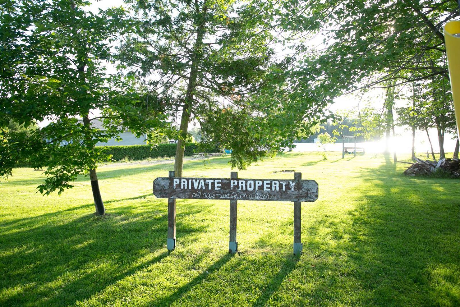 Fun Place With A Sandy Beach For Swimming, Boating, And Fishing, Featuring 3 Available Cabins Fenelon Falls Kültér fotó